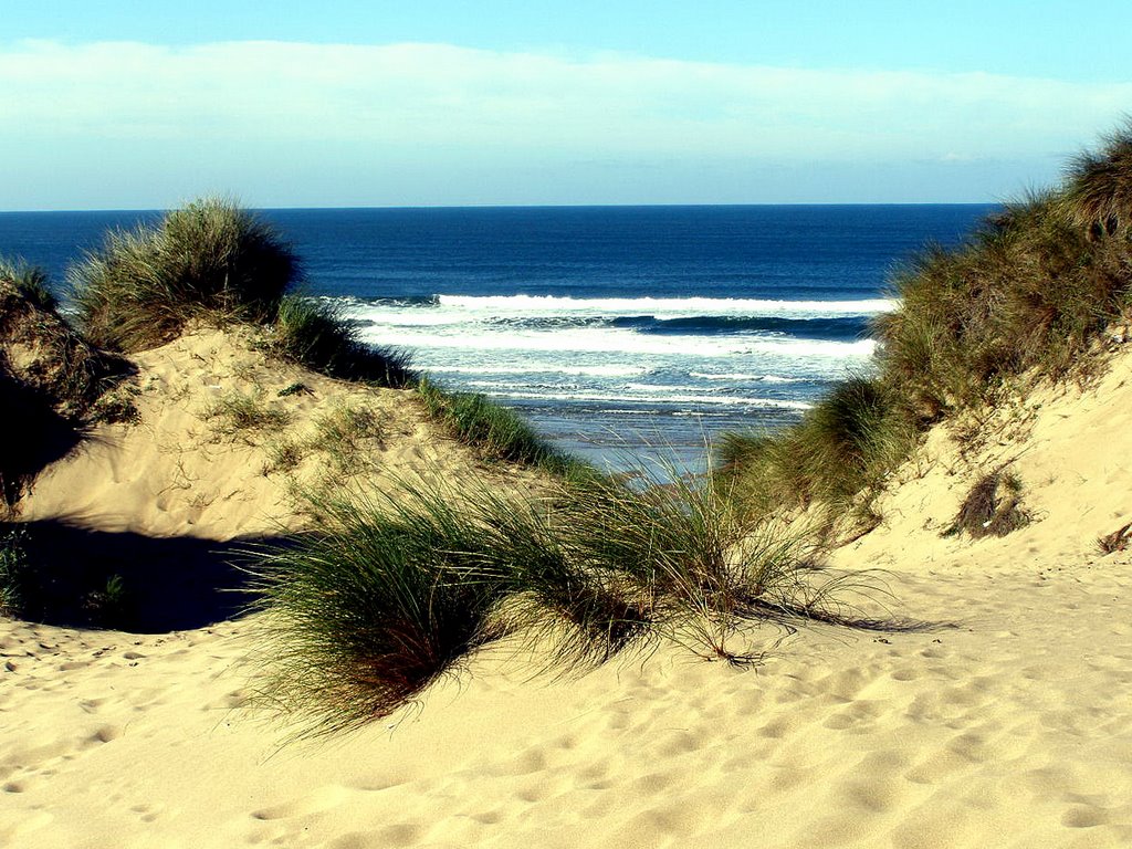 Componentes de viento generadores de morfologías y campos de dunas costeras en Asturias (noroeste de España)